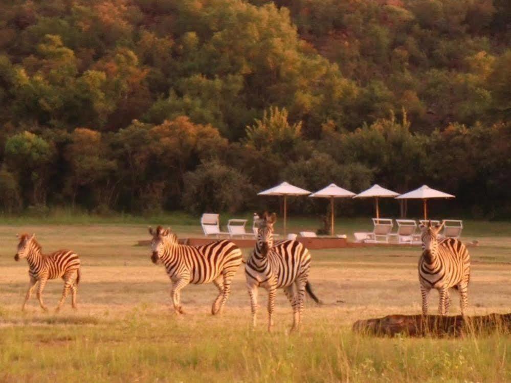 Zebras Crossing Private Game Lodge Modimolle Exterior photo